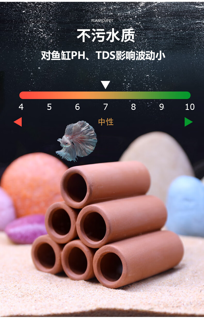 f1fc8ca3d2b7832f.jpg