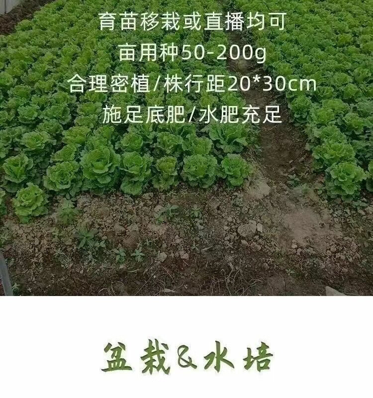 91707a47256d9693.jpg
