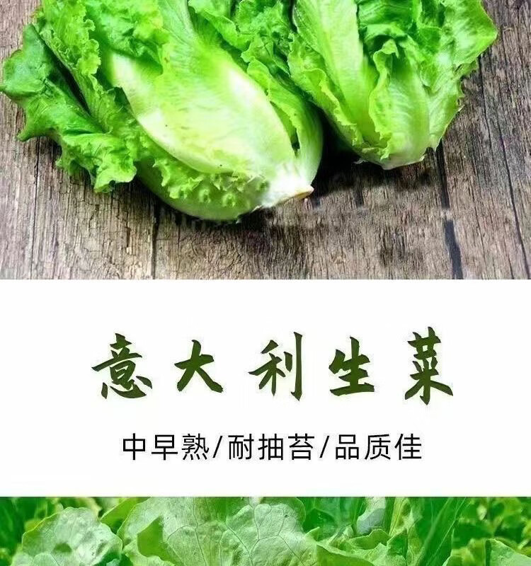 b3e628a38344dc91.jpg