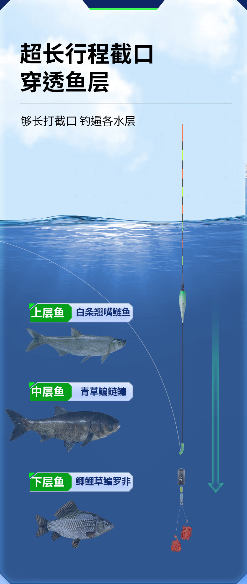 dea9858a00603615.jpg