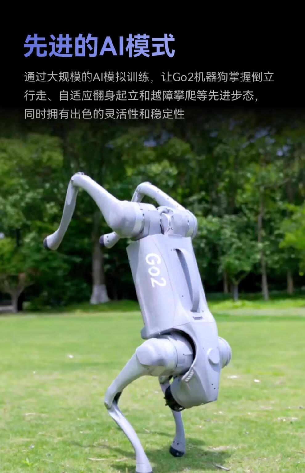 50dd3fd17b283149.jpg