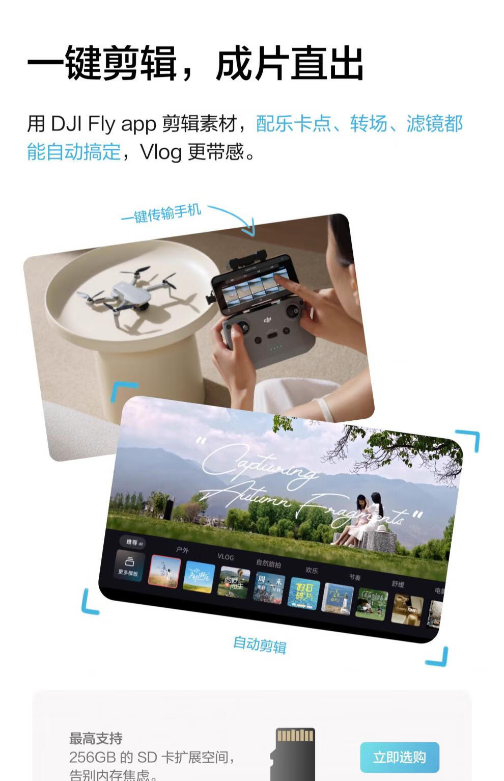 764a4f50c93155ca.jpg