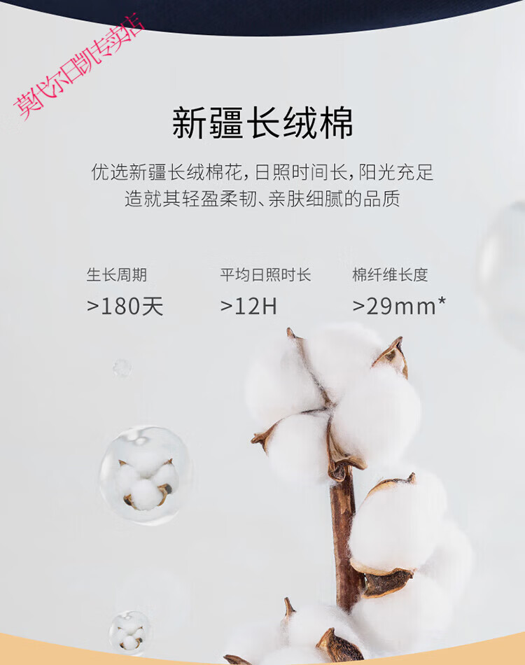 22c6ff22a5c7007d.jpg