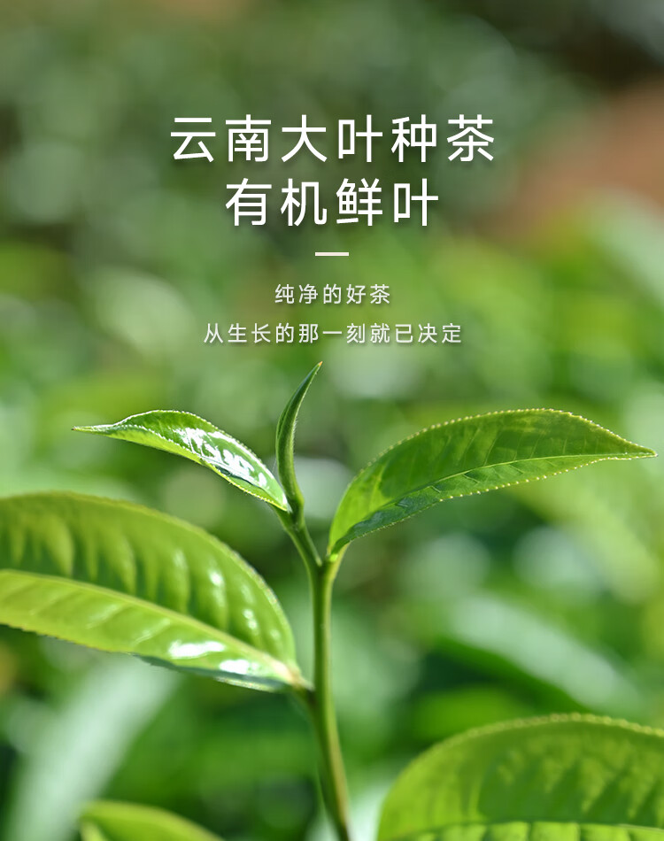 6c4844984e4216ad.jpg