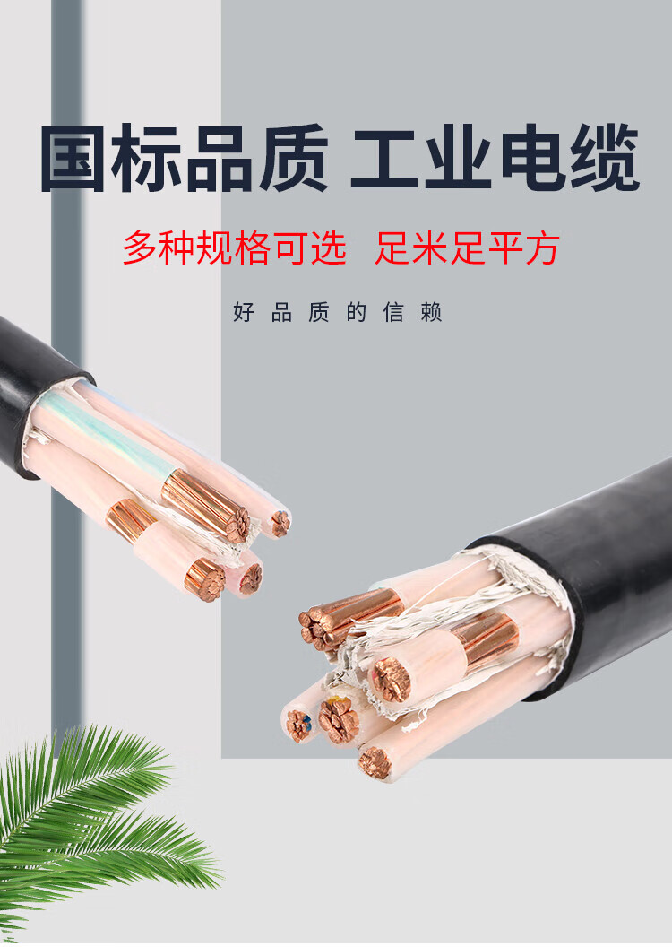 293ca0f1051ed58c.jpg