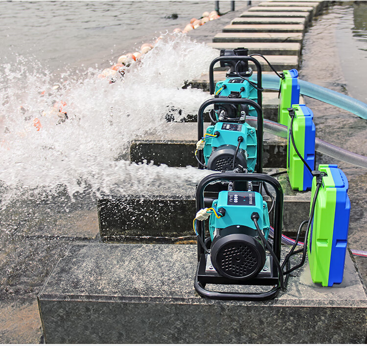 定制直流电动潜水泵48v60v72v伏抽水机农用家用电瓶车抽水泵 48v6ah