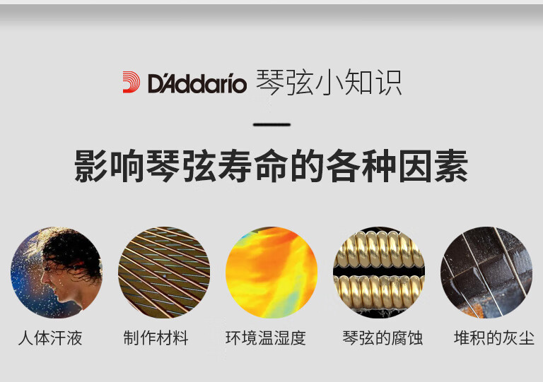 8dae8725e4dd5046.jpg