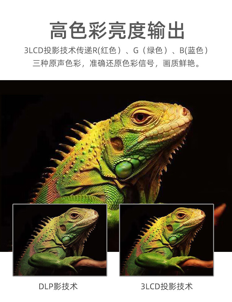 1bcc5f249930f655.jpg