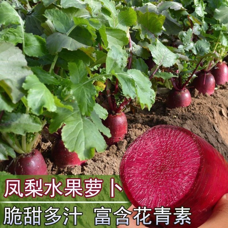 4f22ef03ff9528b8.jpg