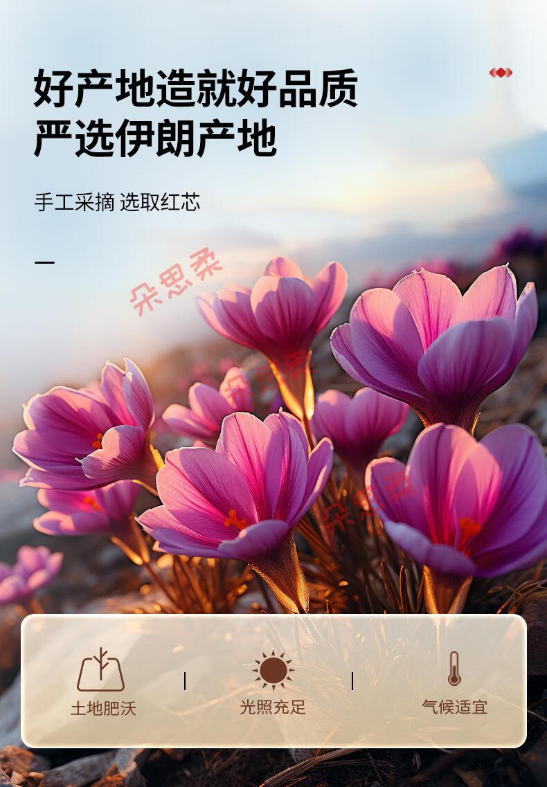 d814b150bc924c20.jpg