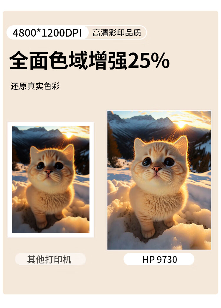 0bb946f0ae2a4d18.jpg