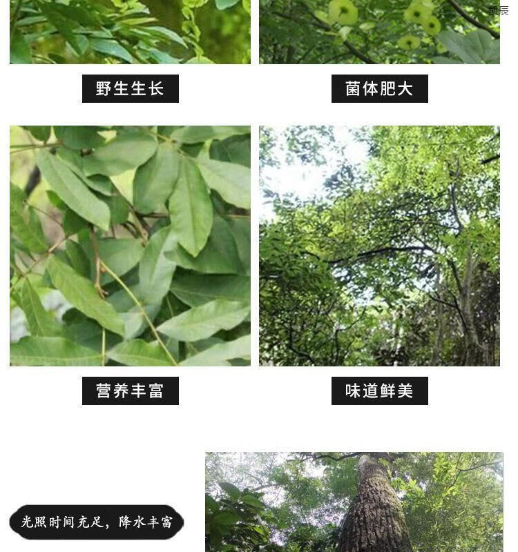 25f13bcb8b3e4611.jpg