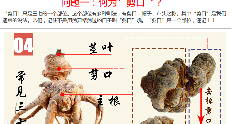 云南文山春三七无剪口20头30头40头60滑头田七500g可代磨细粉 60头60