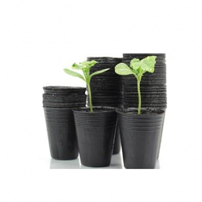 当日发货现货营养钵育苗钵种植袋育苗袋营养袋育苗盆育苗杯花钵黑色