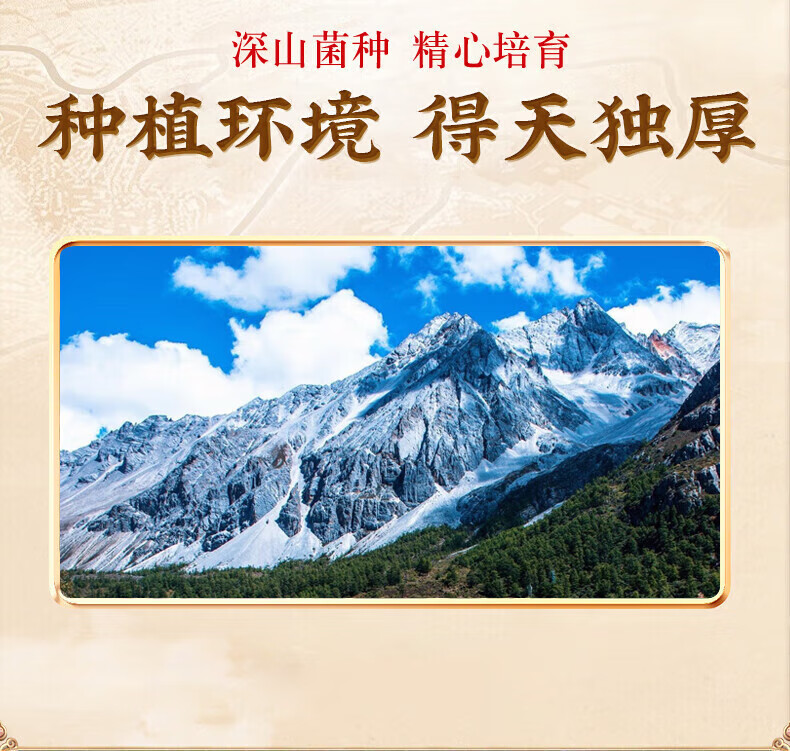 86146a0cd7b57737.jpg