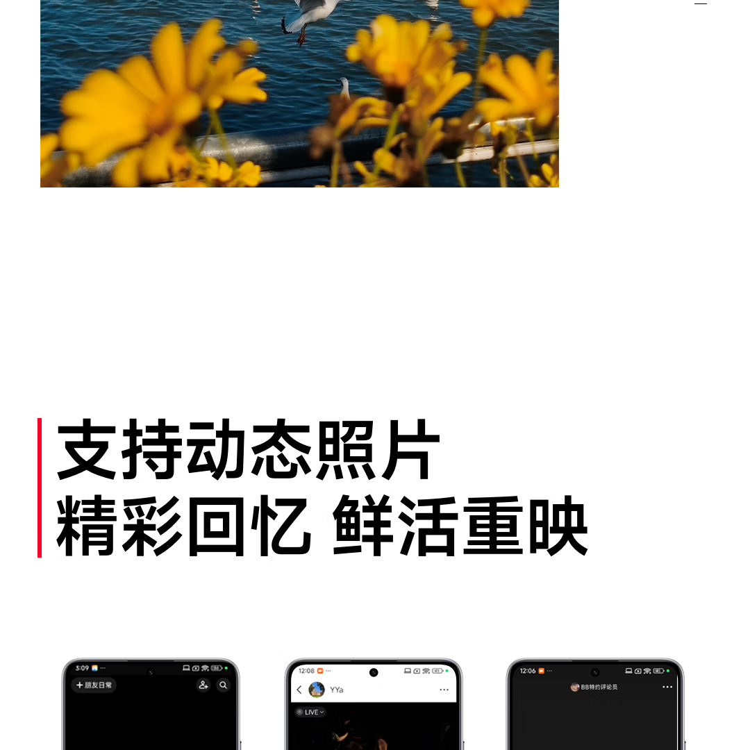 f4228d8e31f9ee12.png