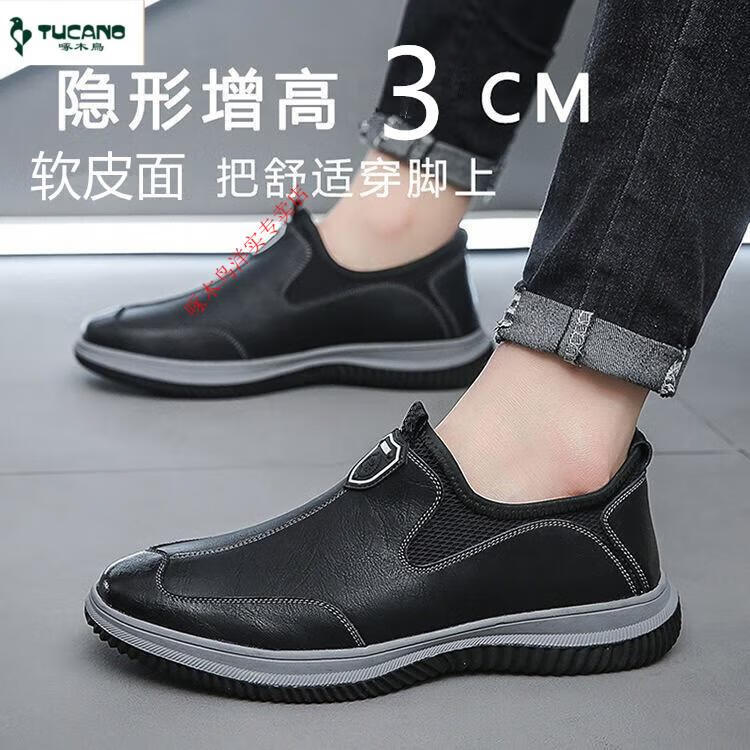 a2ca5c7509bb5cd4.jpg