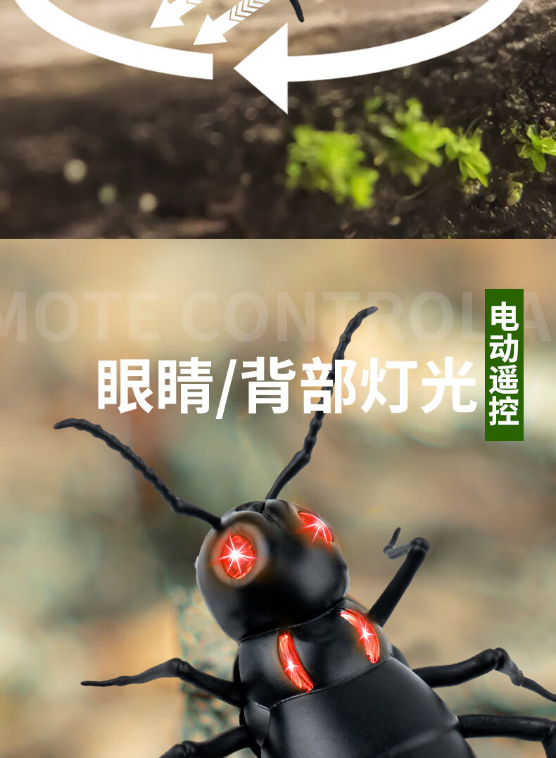 78a34a56cfb088d7.jpg