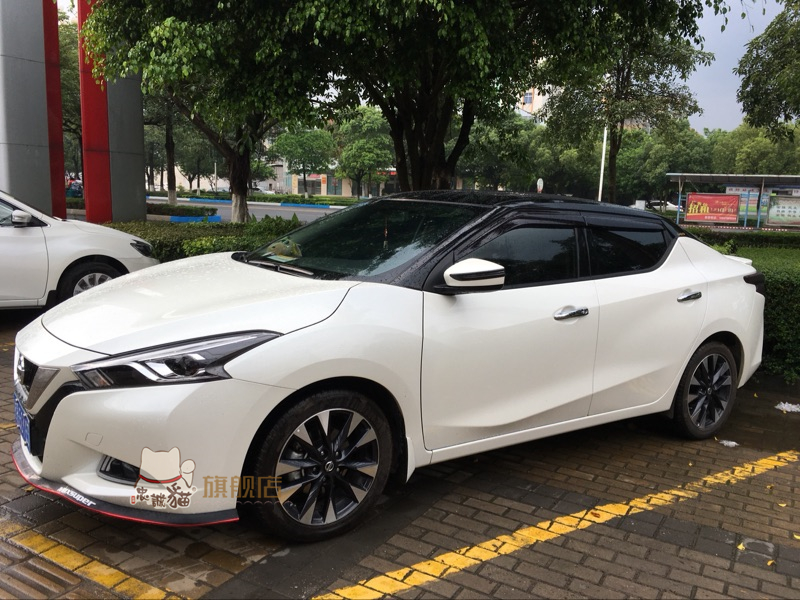 【京享好物】零跑t03欧拉黑猫悬浮车顶 膜四代飞度宏光迷你黑顶改色膜