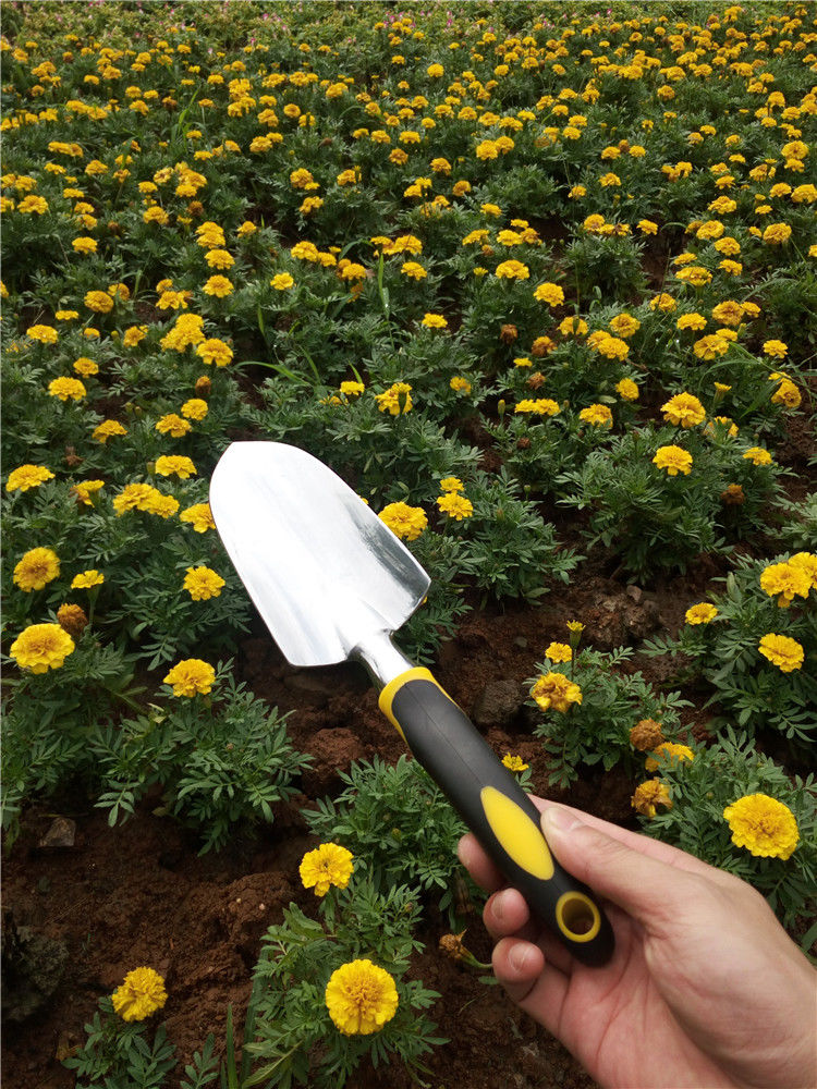 家用园艺工具套装种植菜种花小铲子阳台养花工具花园盆栽松土花铲 奔