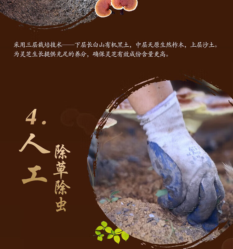6504464a30ce1671.jpg