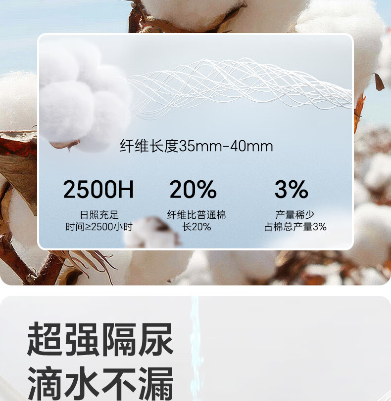 8f3824c9c29936a0.jpg