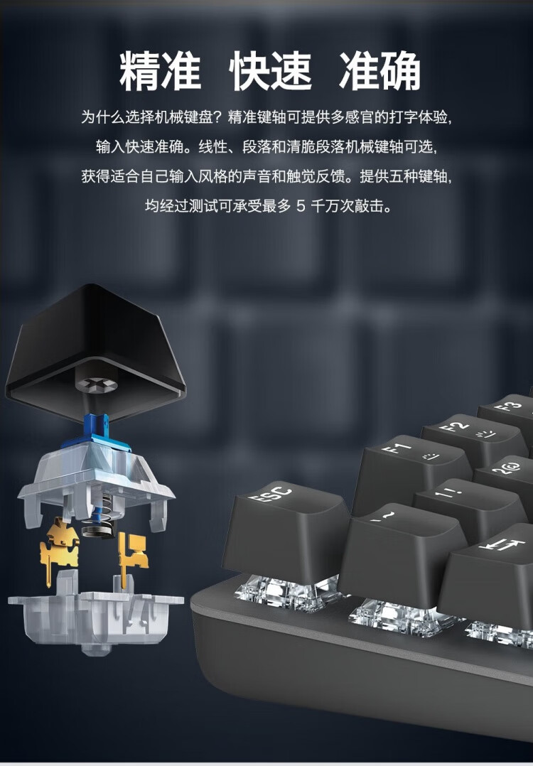 130af0c3040df44e.jpg