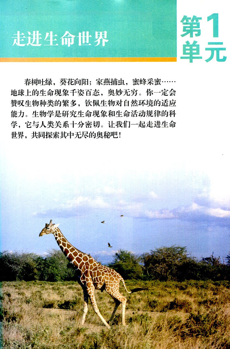 8d9b3ae118bda209.jpg