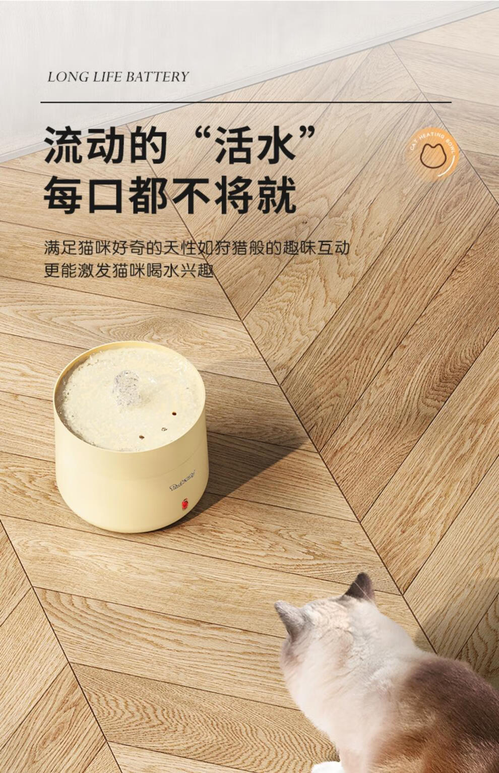 5503d8150a7cd93a.jpg