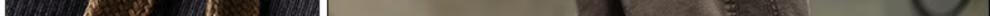 b41e450100d96c49.jpg