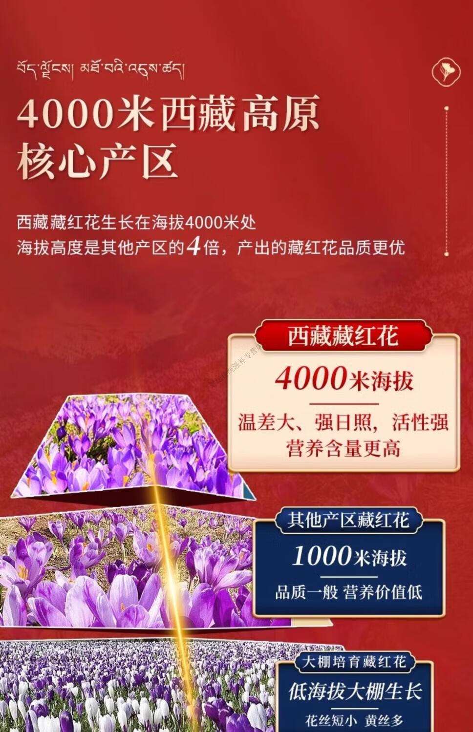 c7caf2c51b101dff.jpg