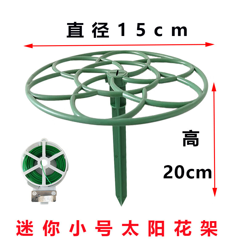 54044945-c1f8-4eef-beaa-49fb4203e182.jpe
