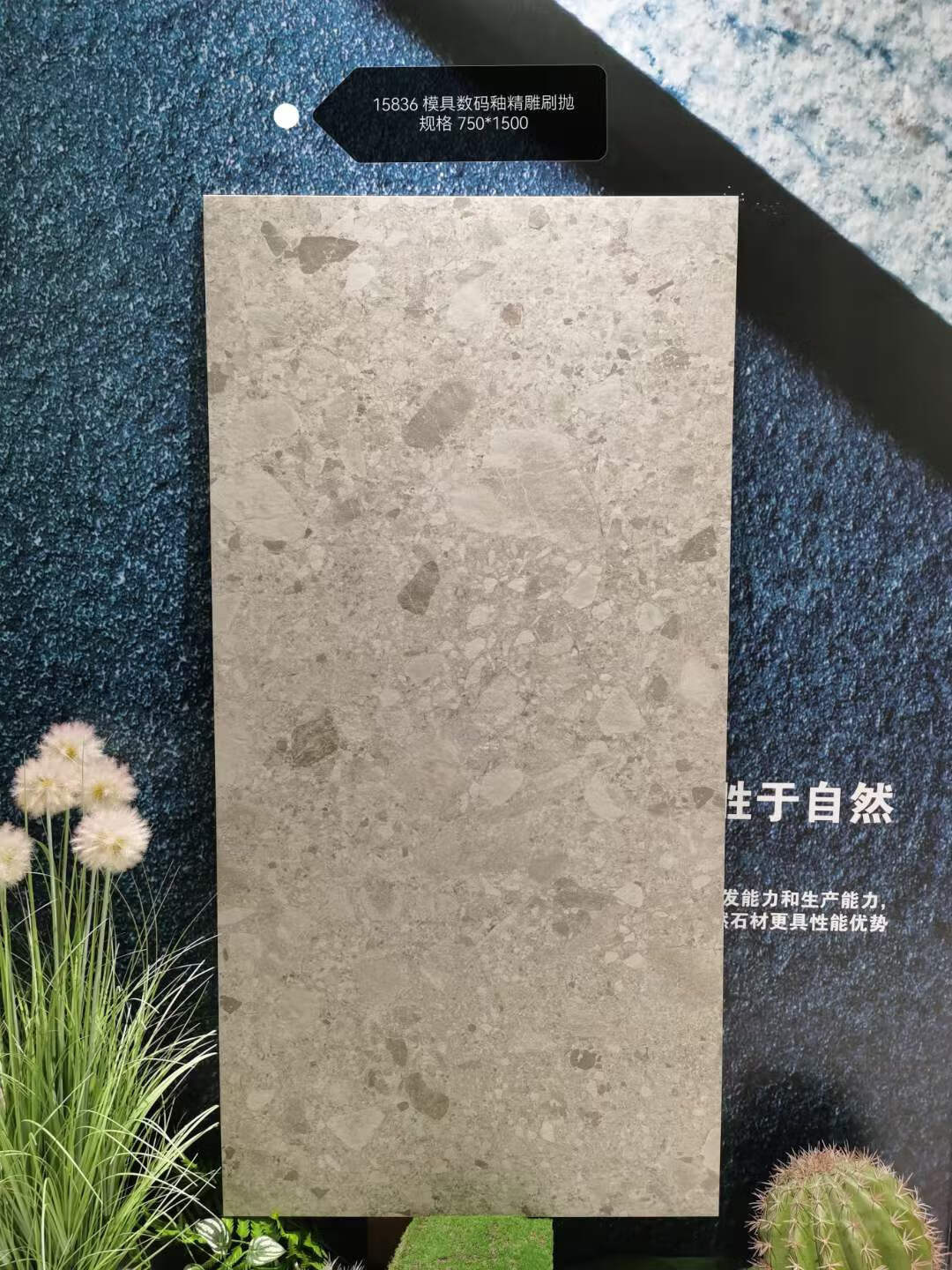 77d48c8308c76554.jpg