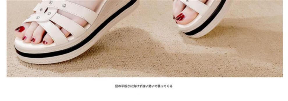 ff8844116689f693.jpg