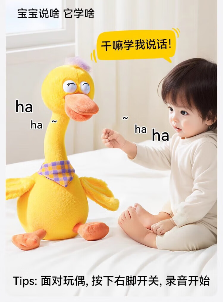 b7e04a87a028b3f1.jpg