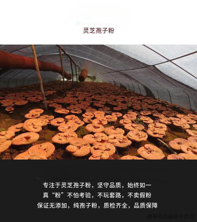 a14ad4278522dc1f.jpg