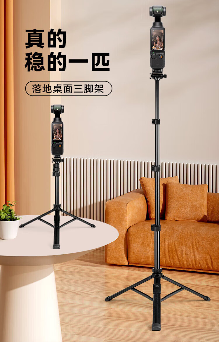b80d5af48a99bb48.jpg