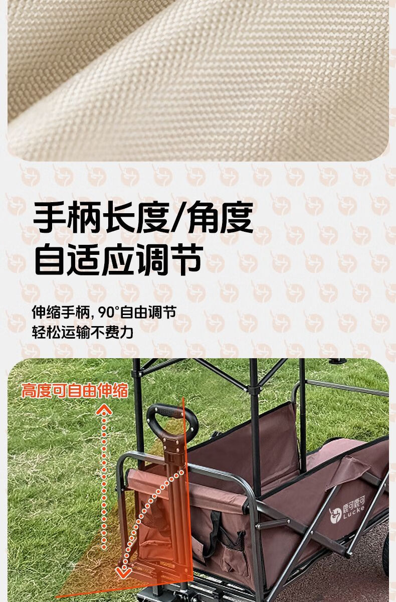 c16a2c0a-f640-4146-be65-c9683cb95acf.jpe