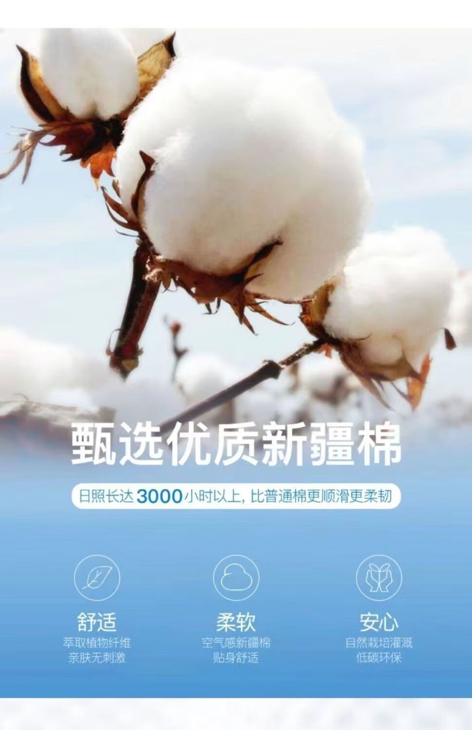 050b633ac4838558.jpg
