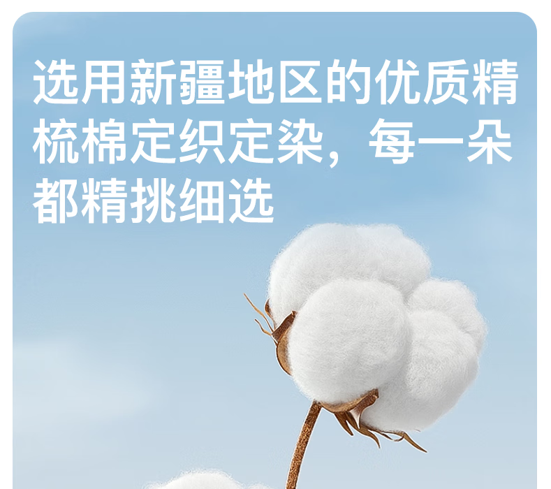 9d173bba86de9b5e.png