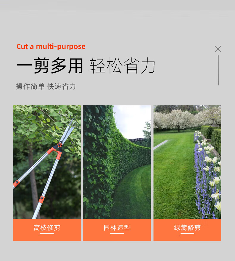 c2bed974c2dcb835.jpg
