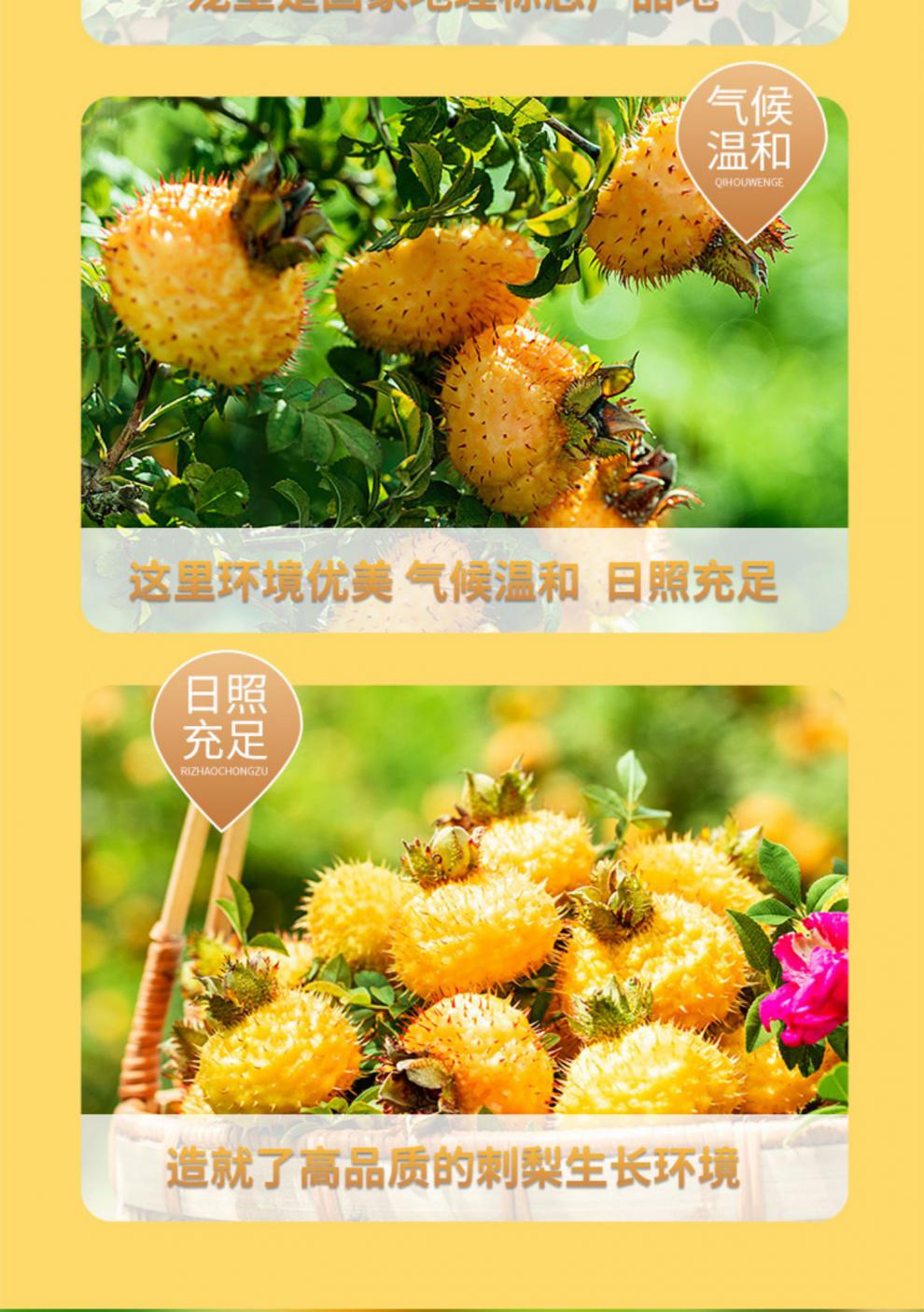 金赐力刺梨汁纯鲜果原汁1kg盒装含丰富sod维c 苏伯 原汁1kg*2盒【图片