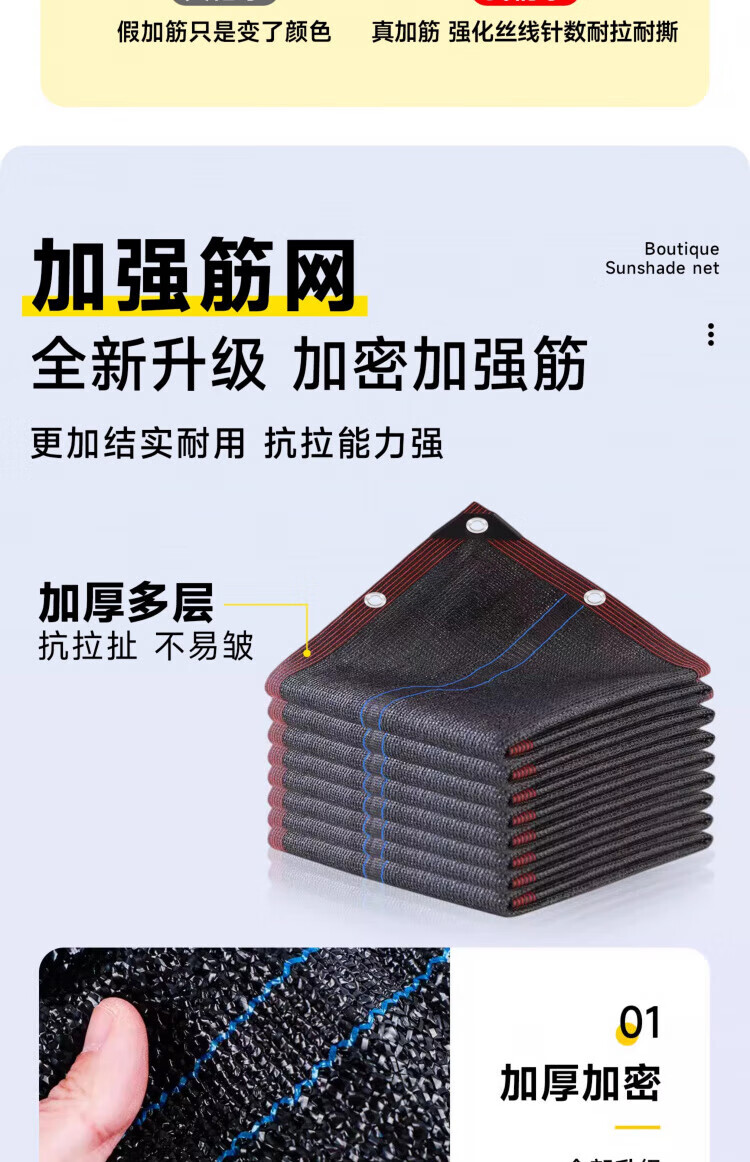5fbbad98404b0519.jpg