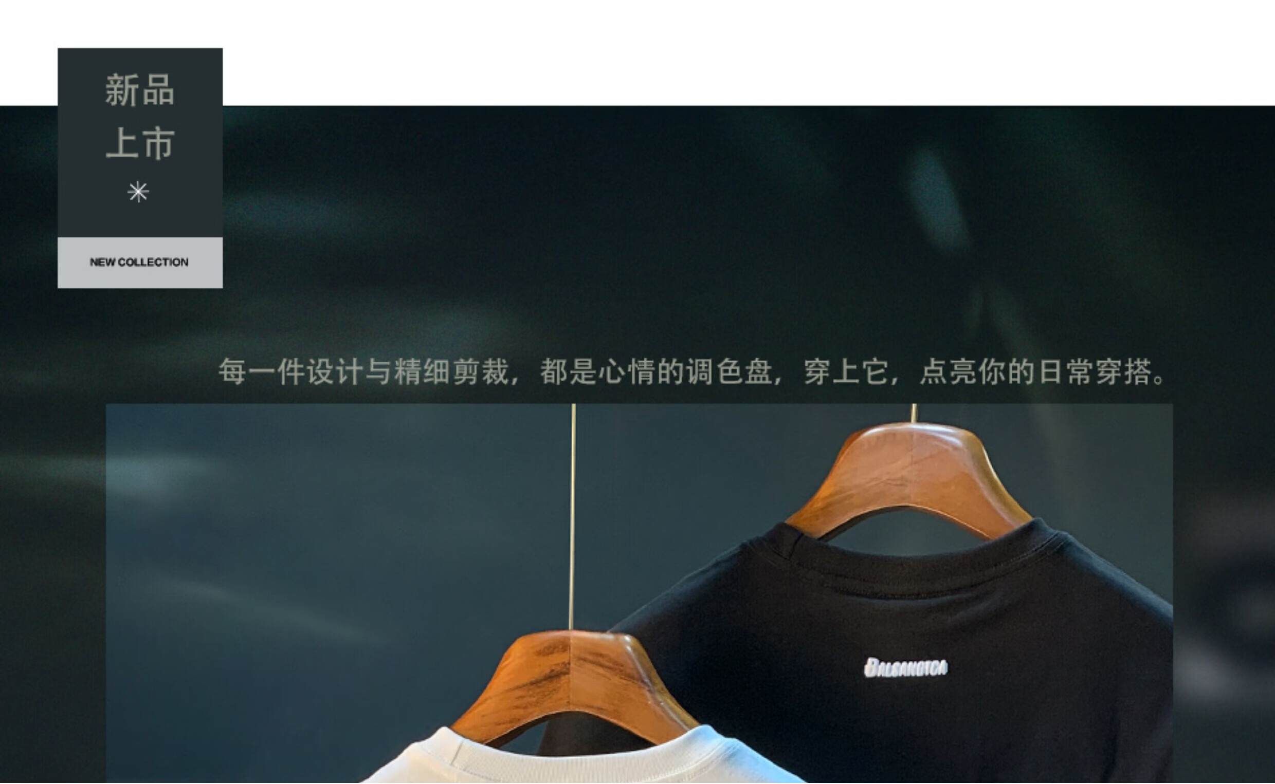 e90f2053c3e817fa.jpg