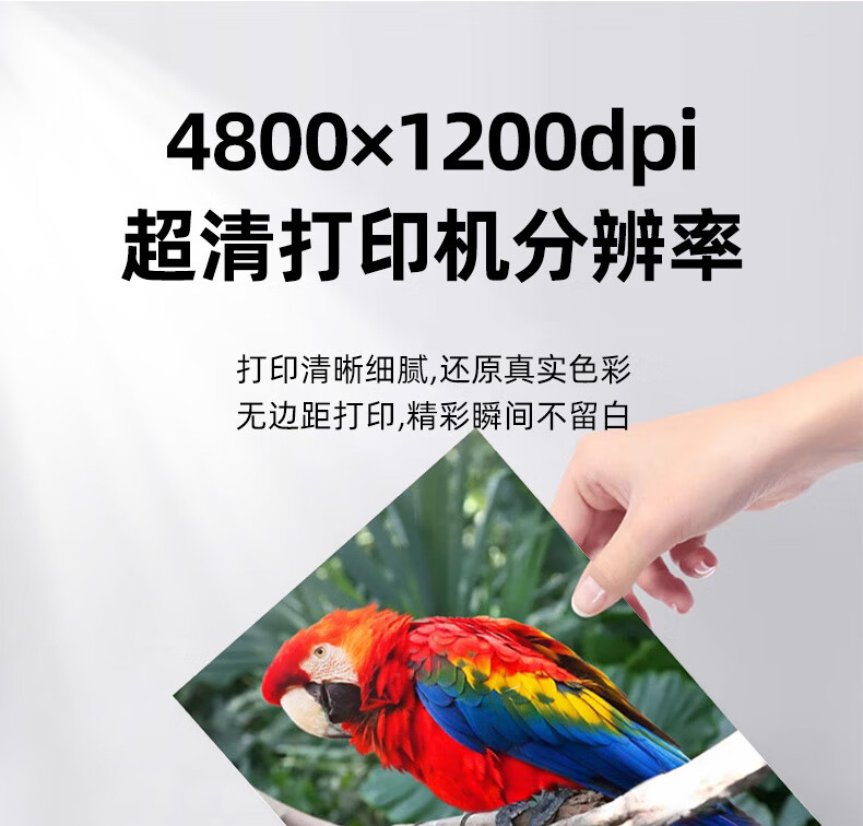 35b68880b78bdec4.jpg