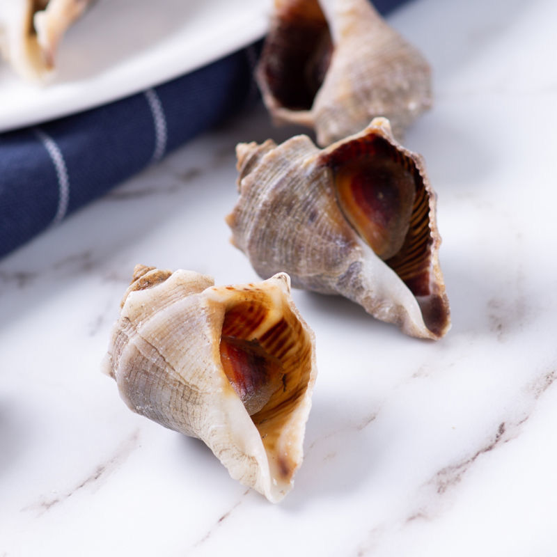 福茹洲 小海螺鲜活香波螺新鲜 特产鲜活海鲜 海螺丝海瓜辣螺 三斤装