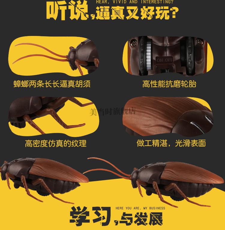 5df9e008a688f9ab.jpg