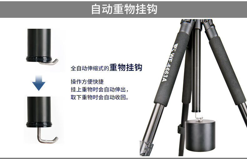 103b7117b64195db.jpg
