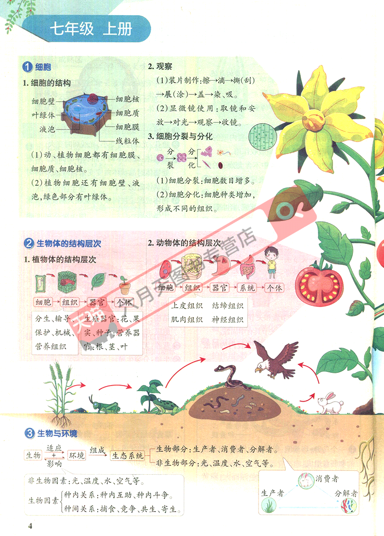 bc49a825ee846250.png