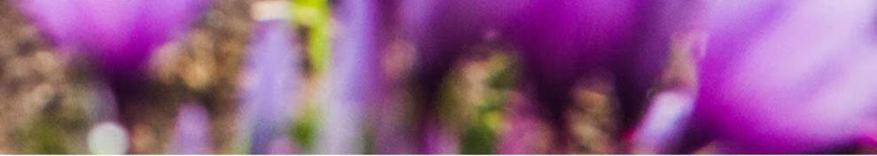 2d0d3f3039b08bb4.jpg